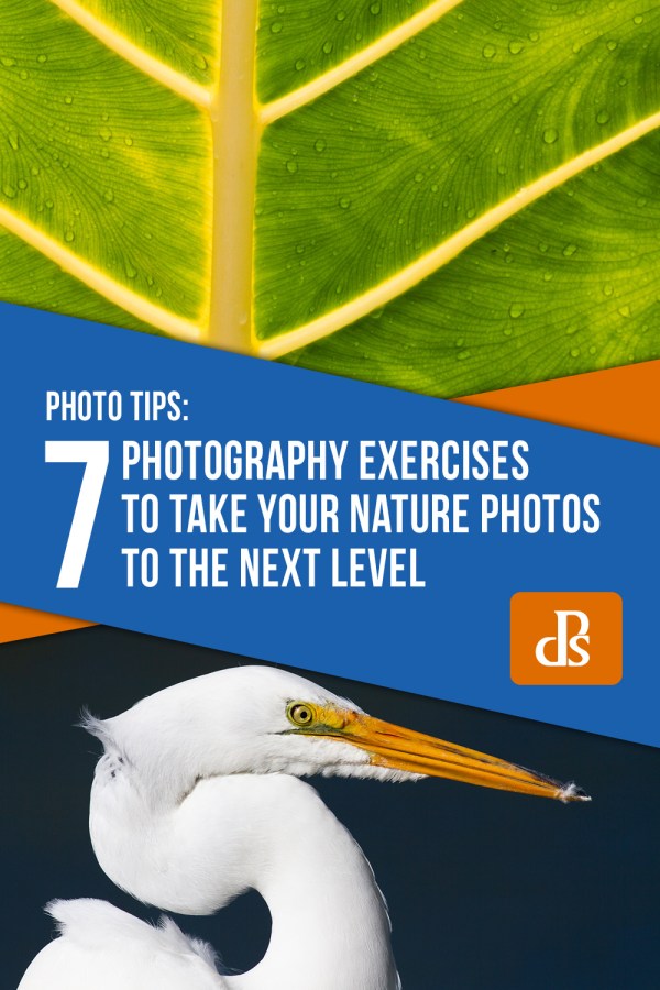 7 Photography Exercises to Take Your Images to the Next Level