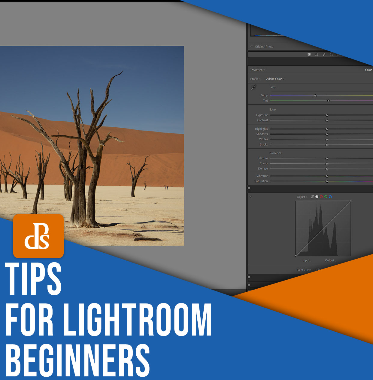 Practical tips for Lightroom beginners