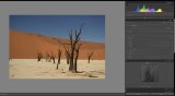 5 Practical Lightroom Tips for Beginners