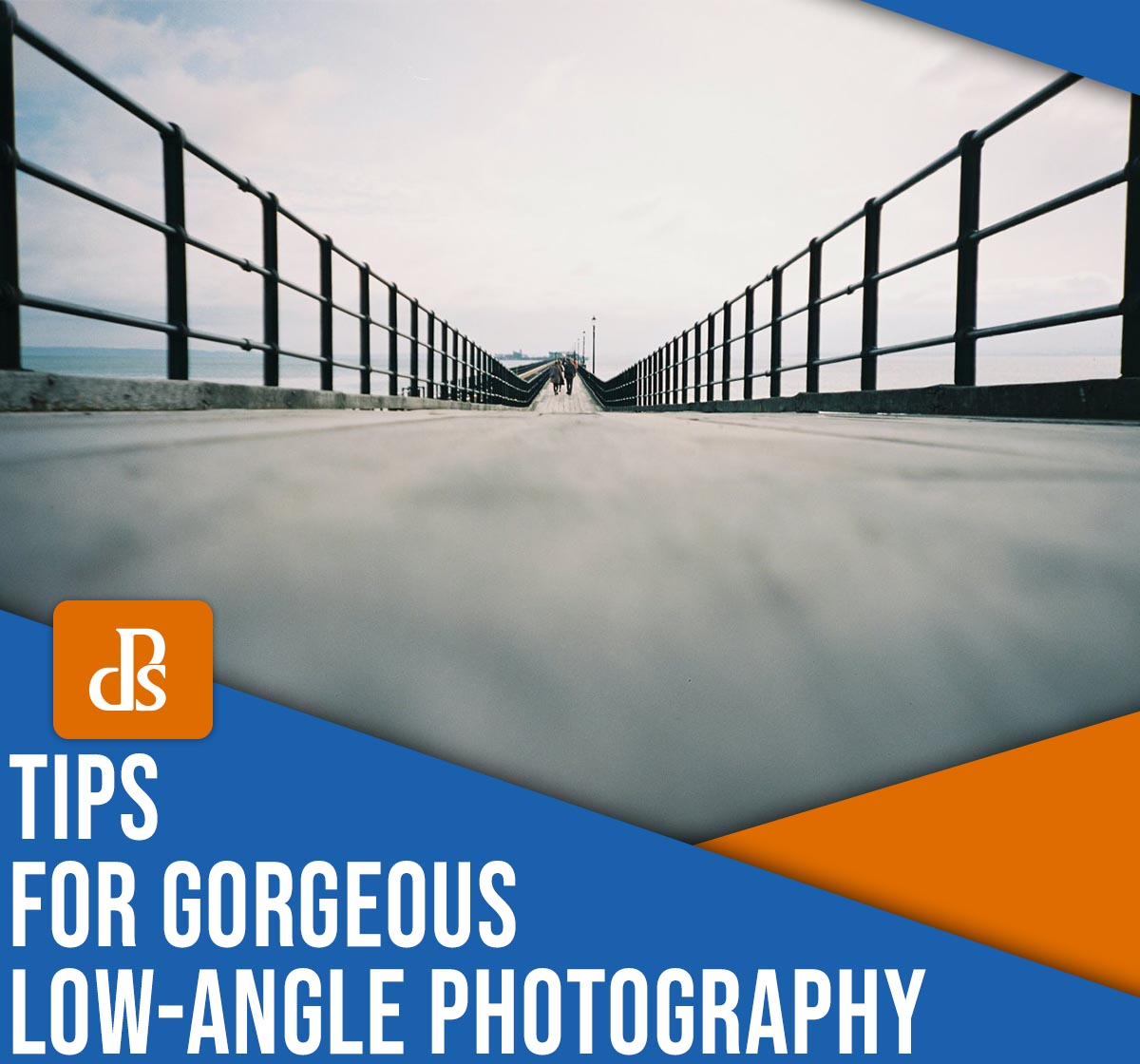 Tips for gorgeous low-angle photography