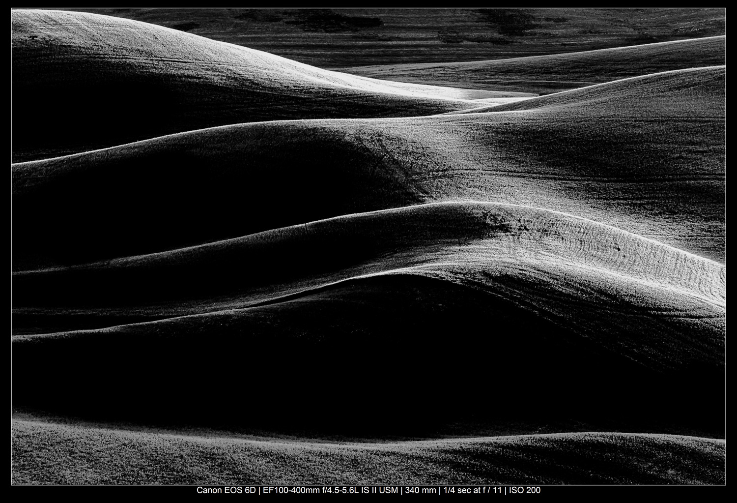 black and white abstract landscape shot