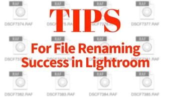 Tips for File Renaming Success in Lightroom