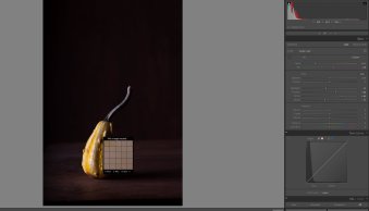 White Balancing in Lightroom: Your Step-By-Step Guide