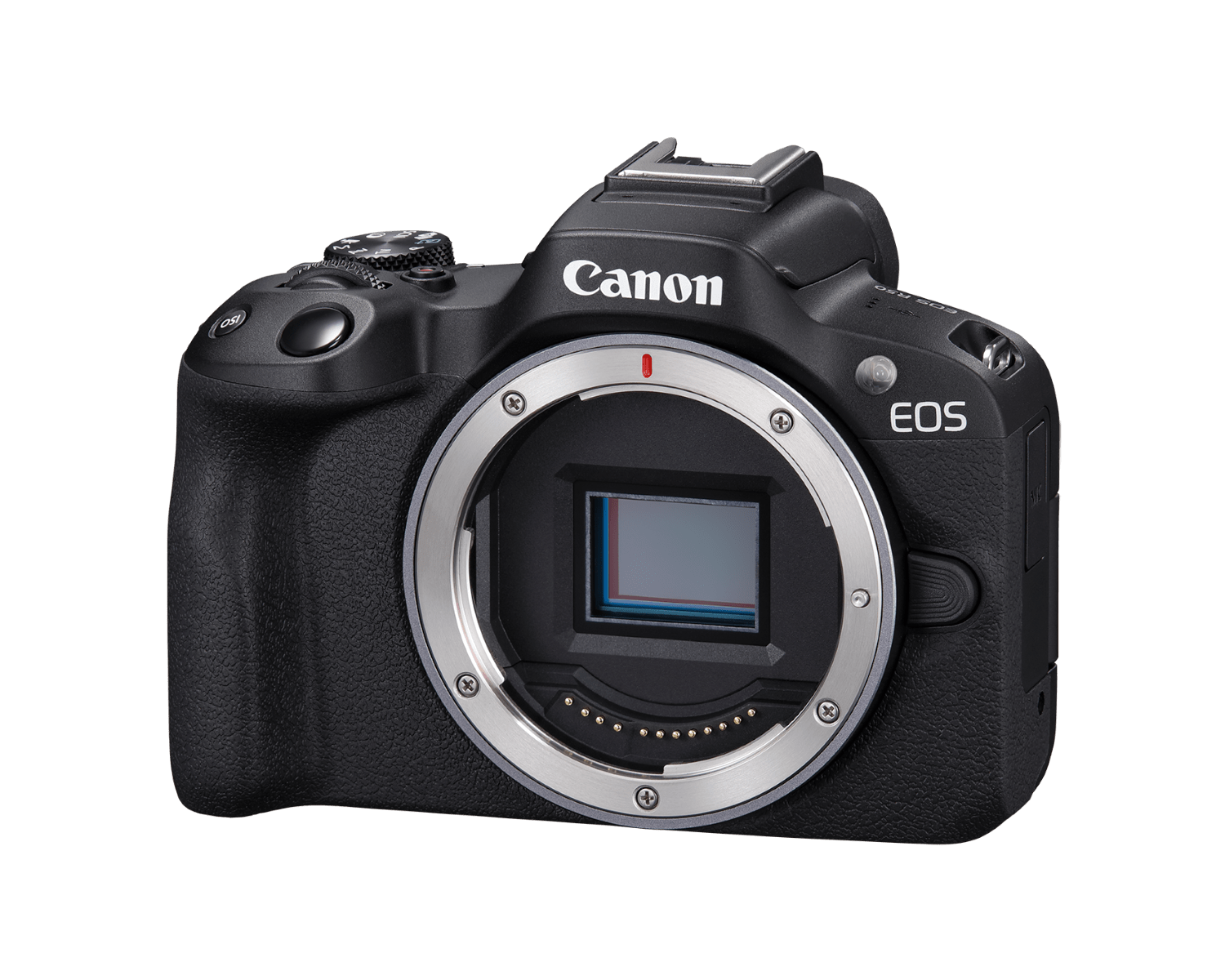 The Canon EOS R50