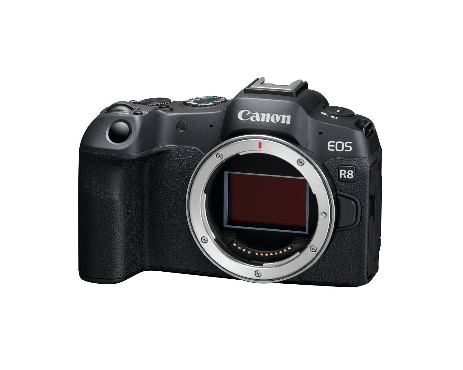 The Canon EOS R8